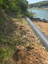 팜모닝 기타작물·영농일지 게시글 이미지