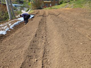 윤자용11대임후회장님의 기타작물 · 영농일지 작성글 사진