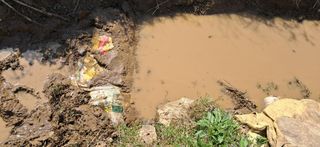 이복길님의 기타작물 · 영농일지 작성글 사진