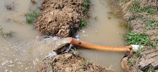 이복길님의 기타작물 · 영농일지 작성글 사진