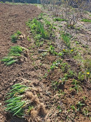 이한재님의 작성글 사진