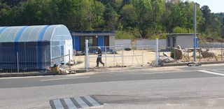 김동진님의 기타작물 · 영농일지 작성글 사진