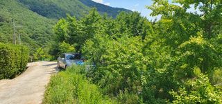 반성식님의 기타작물 · 영농일지 작성글 사진