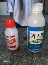팜모닝 기타작물·영농일지 게시글 이미지