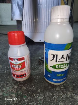 안종범님의 기타작물 · 영농일지 작성글 사진