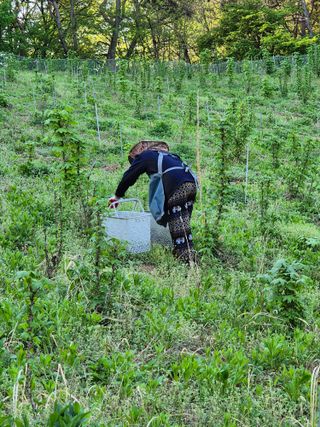 강인규님의 기타작물 · 영농일지 작성글 사진