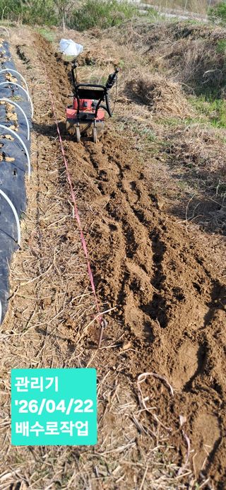 kh글로벌님의 기타작물 · 영농일지 작성글 사진