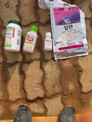 콩7431(팔공산)님의 복숭아 · 영농일지 작성글 사진