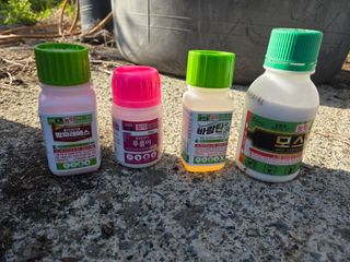 전정일님의 기타작물 · 영농일지 작성글 사진