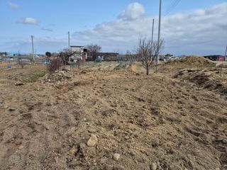 경포일출님의 기타작물 · 영농일지 작성글 사진