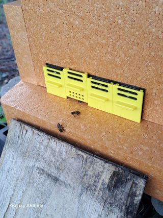 조연만님의 기타작물 · 영농일지 작성글 사진