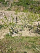 누리나루님의 작성글 사진