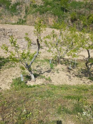 누리나루님의 기타작물 · 영농일지 작성글 사진