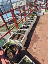 박주희님의 작성글 사진