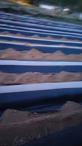 박순덕님의 작성글 사진