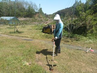 엄후남님의 복숭아 · 영농일지 작성글 사진