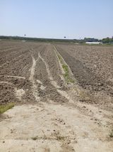 김창호 님의 작성글 사진