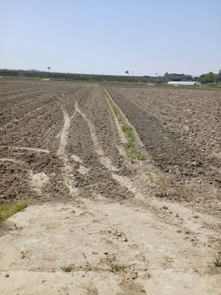 김창호 님의 벼 · 영농일지 작성글 사진