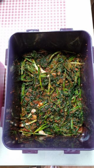 김지철님의 기타작물 · 영농일지 작성글 사진