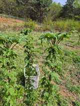 강인규님의 작성글 사진