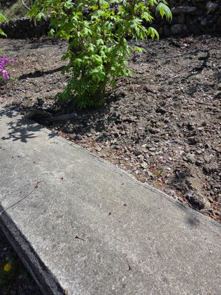 김용대님의 기타작물 · 영농일지 작성글 사진