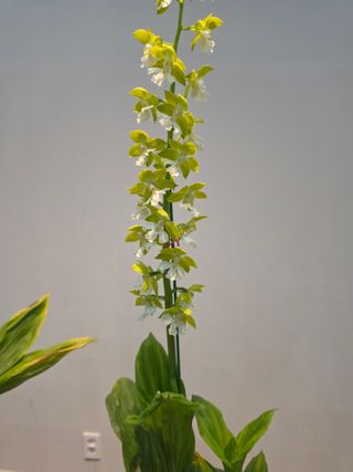 이성규 님의 기타작물 · 영농일지 작성글 사진