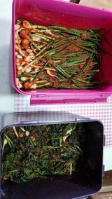 김지철님의 작성글 사진