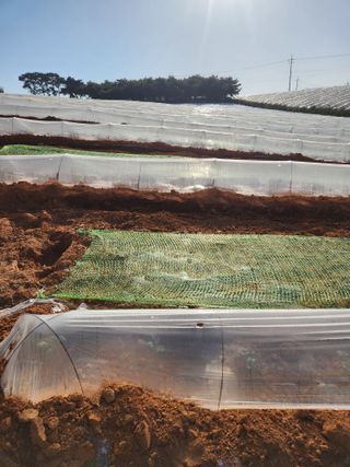 김저팔계님의 기타작물 · 영농일지 작성글 사진