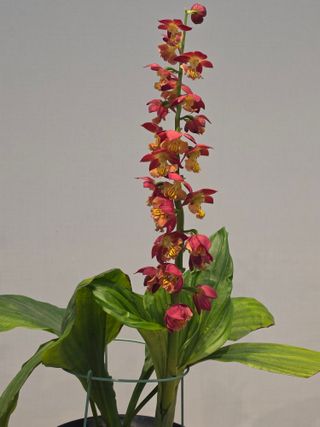 이성규 님의 기타작물 · 영농일지 작성글 사진