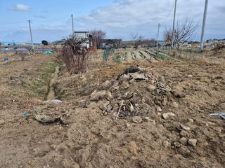 경포일출님의 기타작물 · 영농일지 작성글 사진