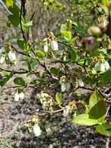 황인근님의 작성글 사진