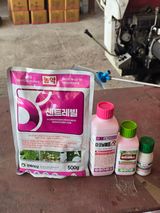 팜모닝 기타작물·영농일지 게시글 이미지