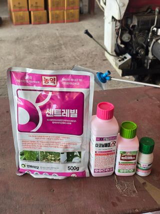 박상우님의 기타작물 · 영농일지 작성글 사진