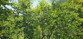 반성식님의 작성글 사진