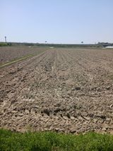 팜모닝 벼·영농일지 게시글 이미지