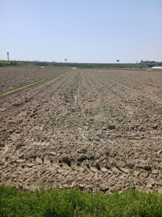 김창호 님의 작성글 사진