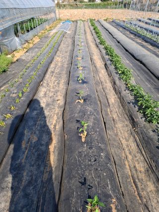 백영호님의 작성글 사진