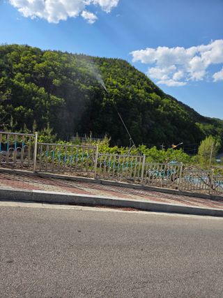 김용대님의 기타작물 · 영농일지 작성글 사진