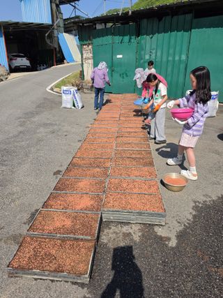 호박14310님의 기타작물 · 영농일지 작성글 사진