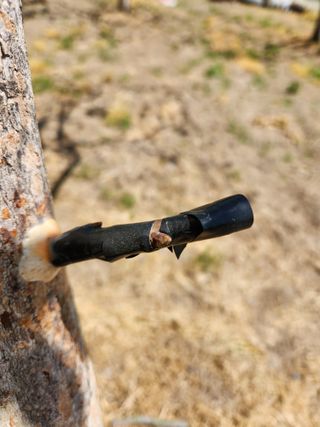 임성욱님의 감 · 영농일지 작성글 사진