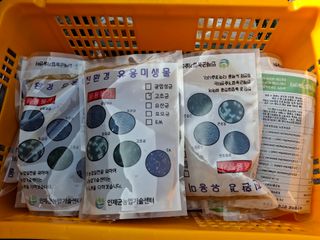 황인근님의 기타작물 · 영농일지 작성글 사진