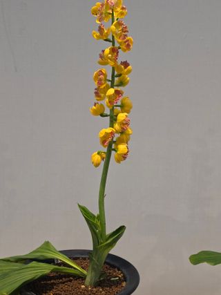 이성규 님의 기타작물 · 영농일지 작성글 사진