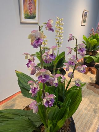 이성규 님의 기타작물 · 영농일지 작성글 사진