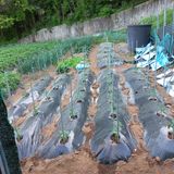 김건우님의 작성글 사진