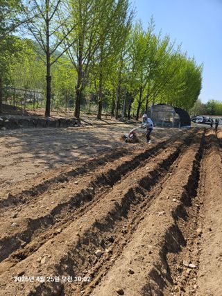 김병효님의 기타작물 · 영농일지 작성글 사진
