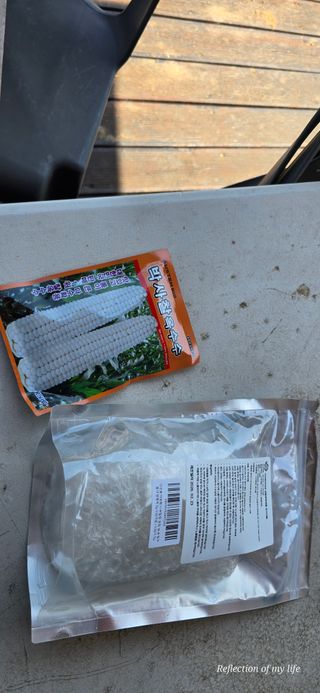 산골아찌님의 옥수수 · 영농일지 작성글 사진