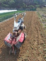 이한재님의 작성글 사진