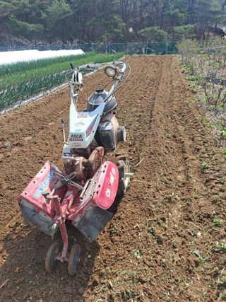 이한재님의 기타작물 · 영농일지 작성글 사진