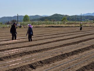 손영호님의 기타작물 · 영농일지 작성글 사진