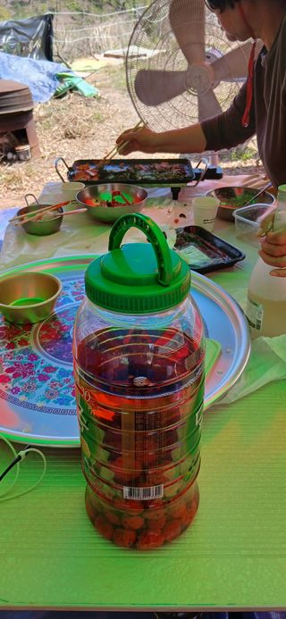 정연섭님의 기타작물 · 영농일지 작성글 사진